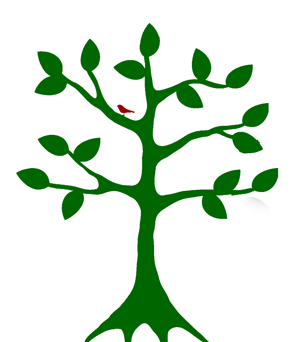 Bird in Tree