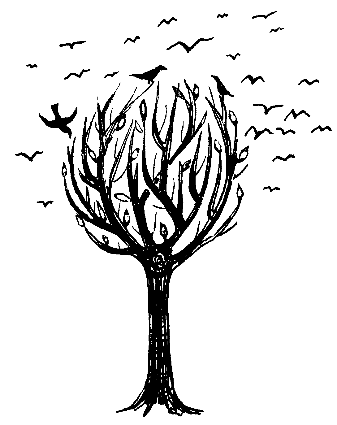 Birds in a Tree